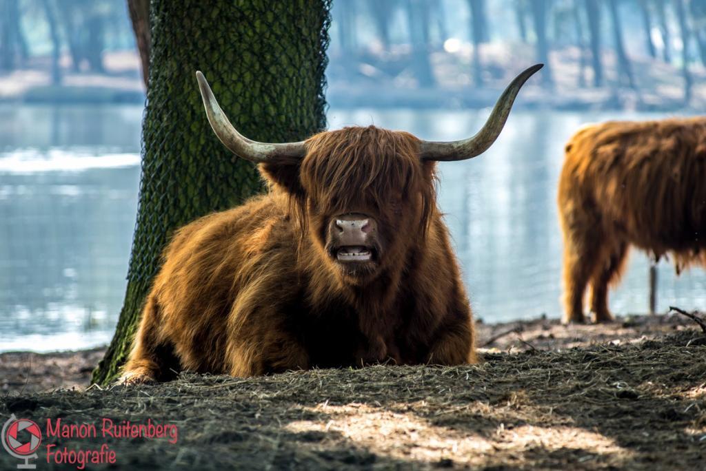Safaripark Beekse Bergen een dagje uit in Brabant