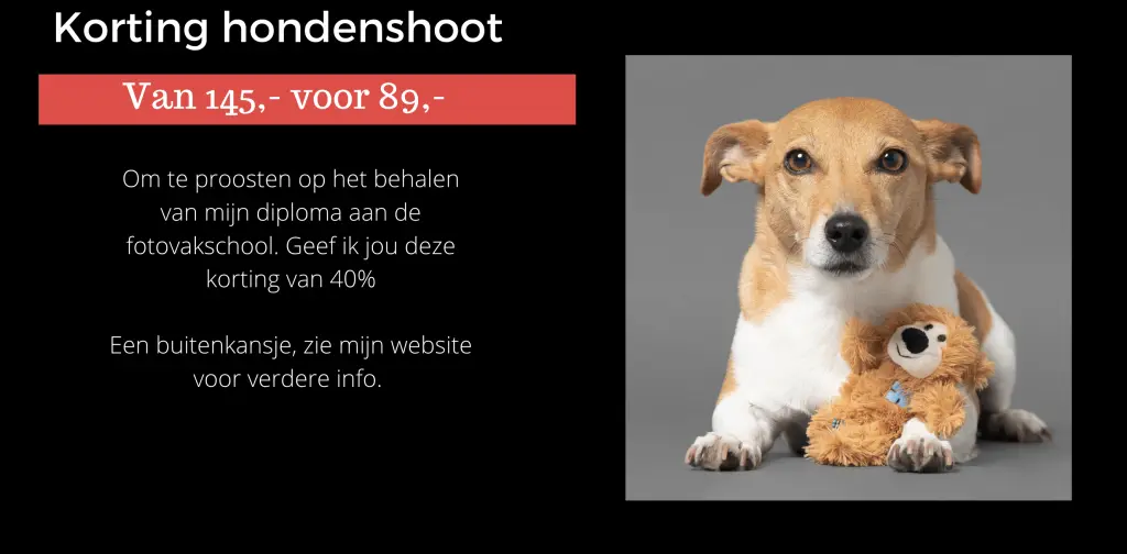 hondenfotografie